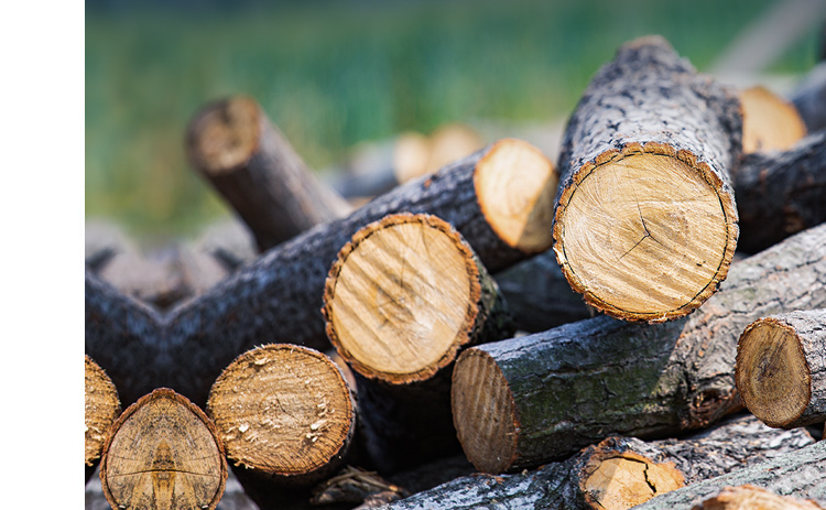 ����Ч������